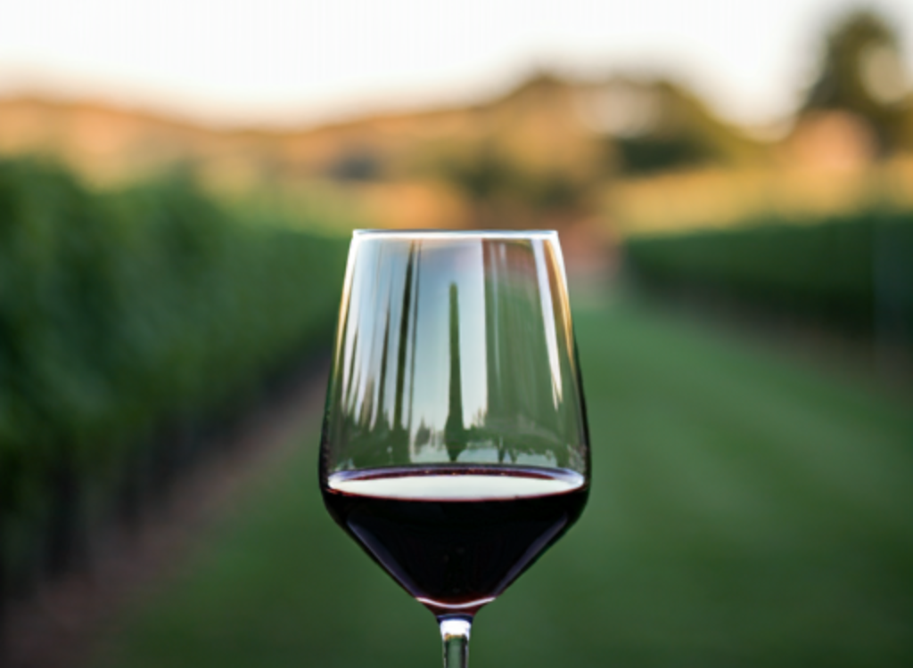 retrogosto dos vinhos