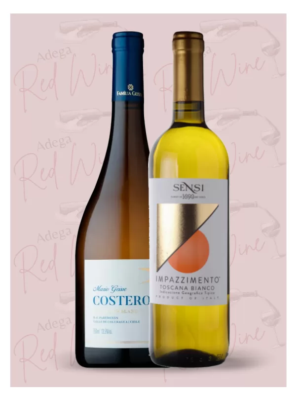 Kit 2 vinhos - R$218,99