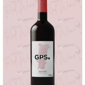 GPS Plus Tinto