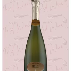 Vinho Espumante Brut Millesimato Solpiantez