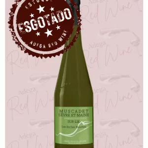 Muscadet sevre et maine