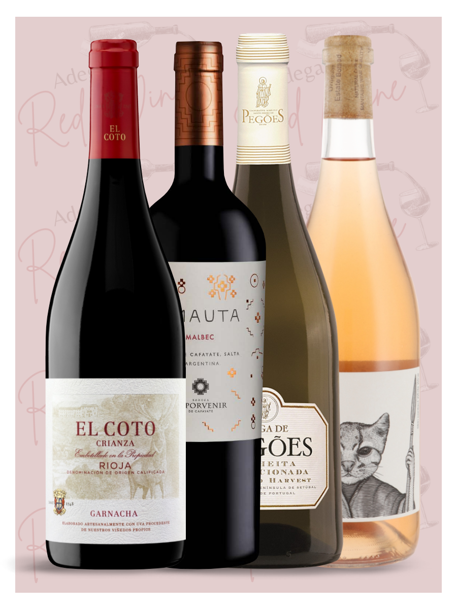 Kit Seleção Outono